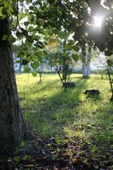 Similar image 20051755