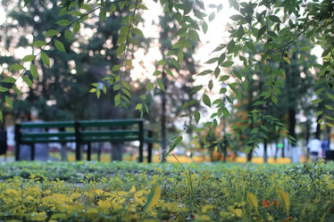 Similar image 20051768