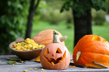 Similar image 20051784