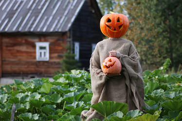 Similar image 20051786