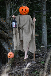 Similar image 20051789