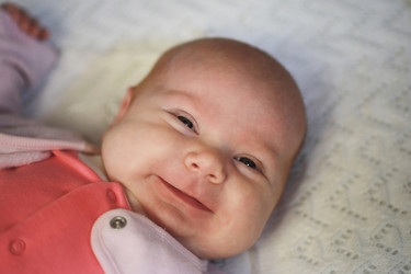 Similar image 20051855