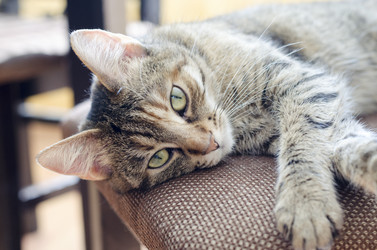 Similar image 20108398