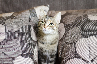 Similar image 20108359