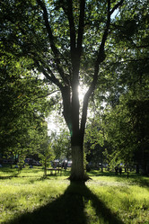 Similar image 20051874