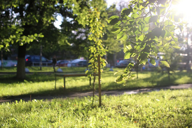 Similar image 20051876