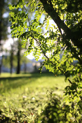 Similar image 20051880