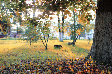 Similar image 20051885