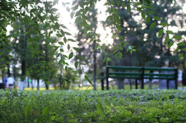 Similar image 20051887