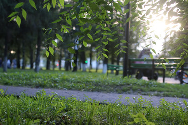 Similar image 20051888