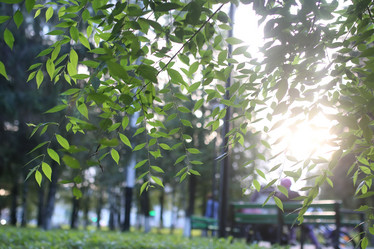 Similar image 20051889