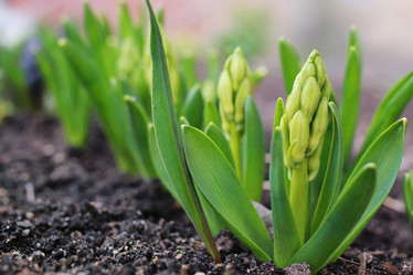 Similar image 20051891