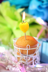 Similar image 20051893