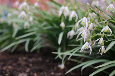 Similar image 20051898