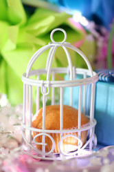 Similar image 20051899