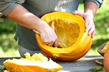 Similar image 20051926