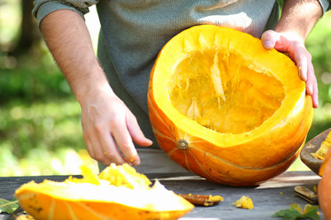 Similar image 20051927