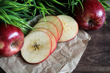 Similar image 20051935