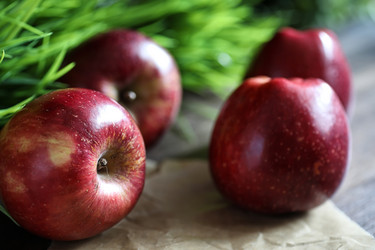 Similar image 20051939