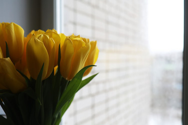 Similar image 20051957