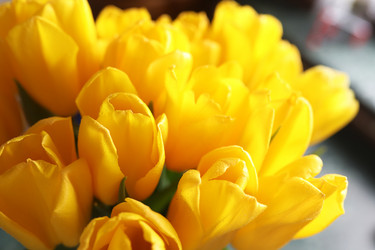 Similar image 20051960