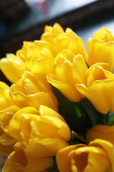 Similar image 20051963