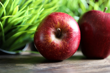 Similar image 20051994