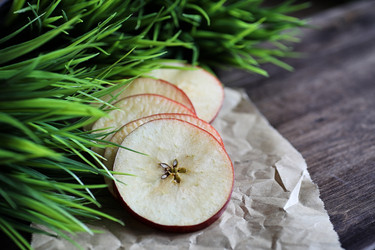 Similar image 20051998