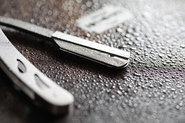 Similar image 20052024