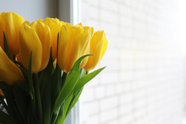 Similar image 20052047