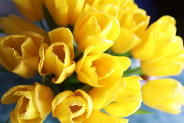 Similar image 20052048