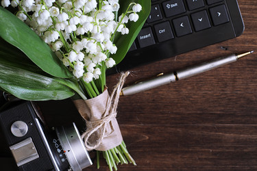 Similar image 20052079