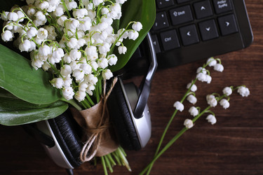 Similar image 20052081