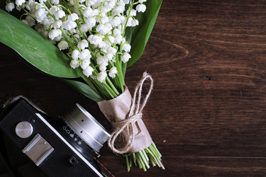 Similar image 20052083