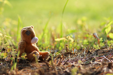 Similar image 20052109