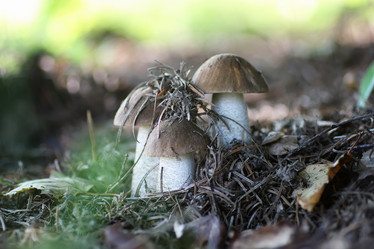 Similar image 20052111