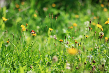 Similar image 20052112