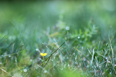 Similar image 20052117