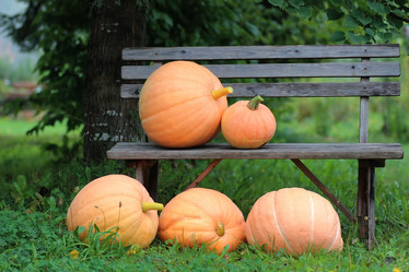 Similar image 20052140