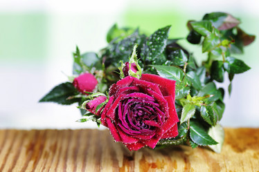 Similar image 20052169