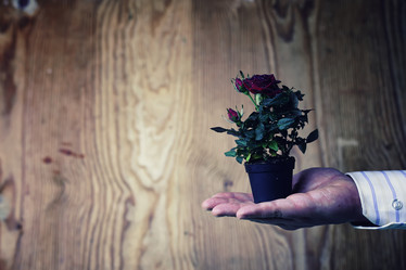 Similar image 20052170