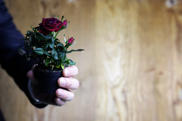 Similar image 20052171