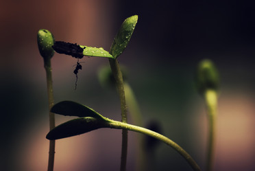 Similar image 20052172