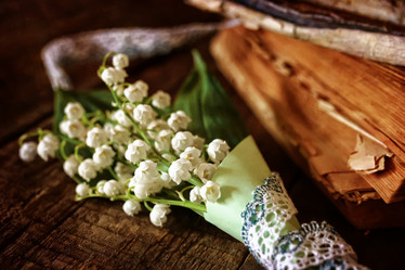 Similar image 20052199