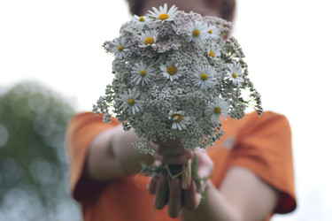 Similar image 20052203