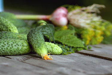 Similar image 20052204