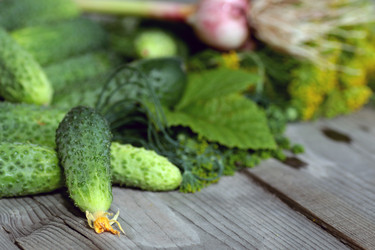 Similar image 20052205