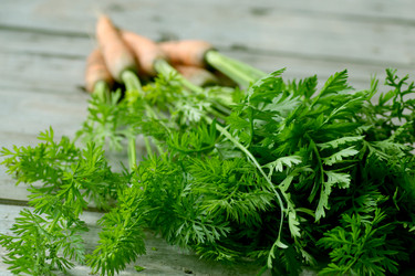 Similar image 20052209