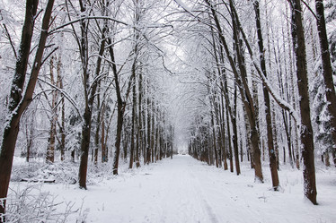 Similar image 20052215