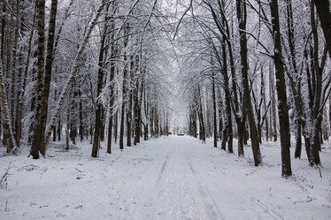 Similar image 20052216